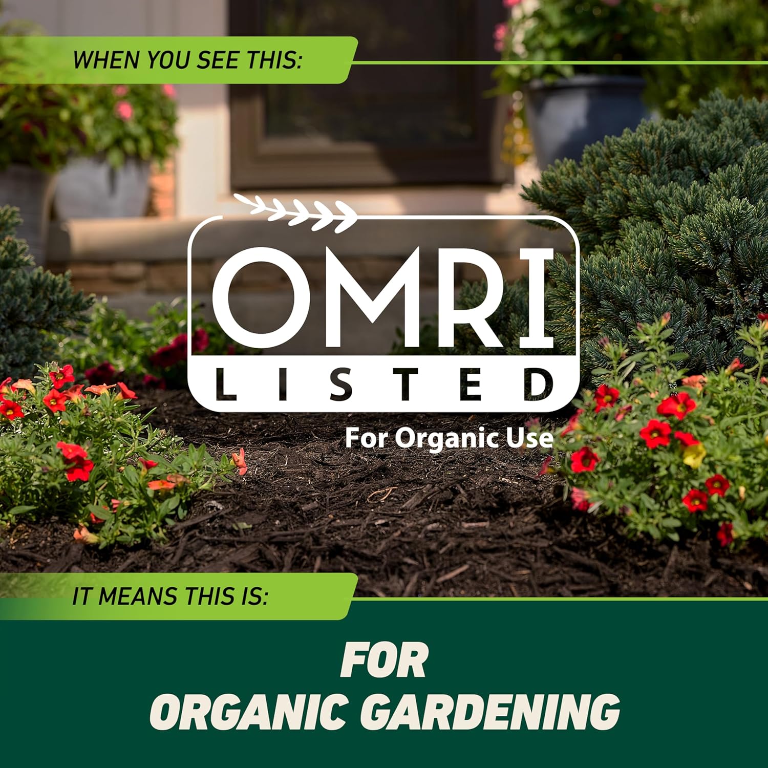 Ortho GroundClear Weed Killer - Hình 7