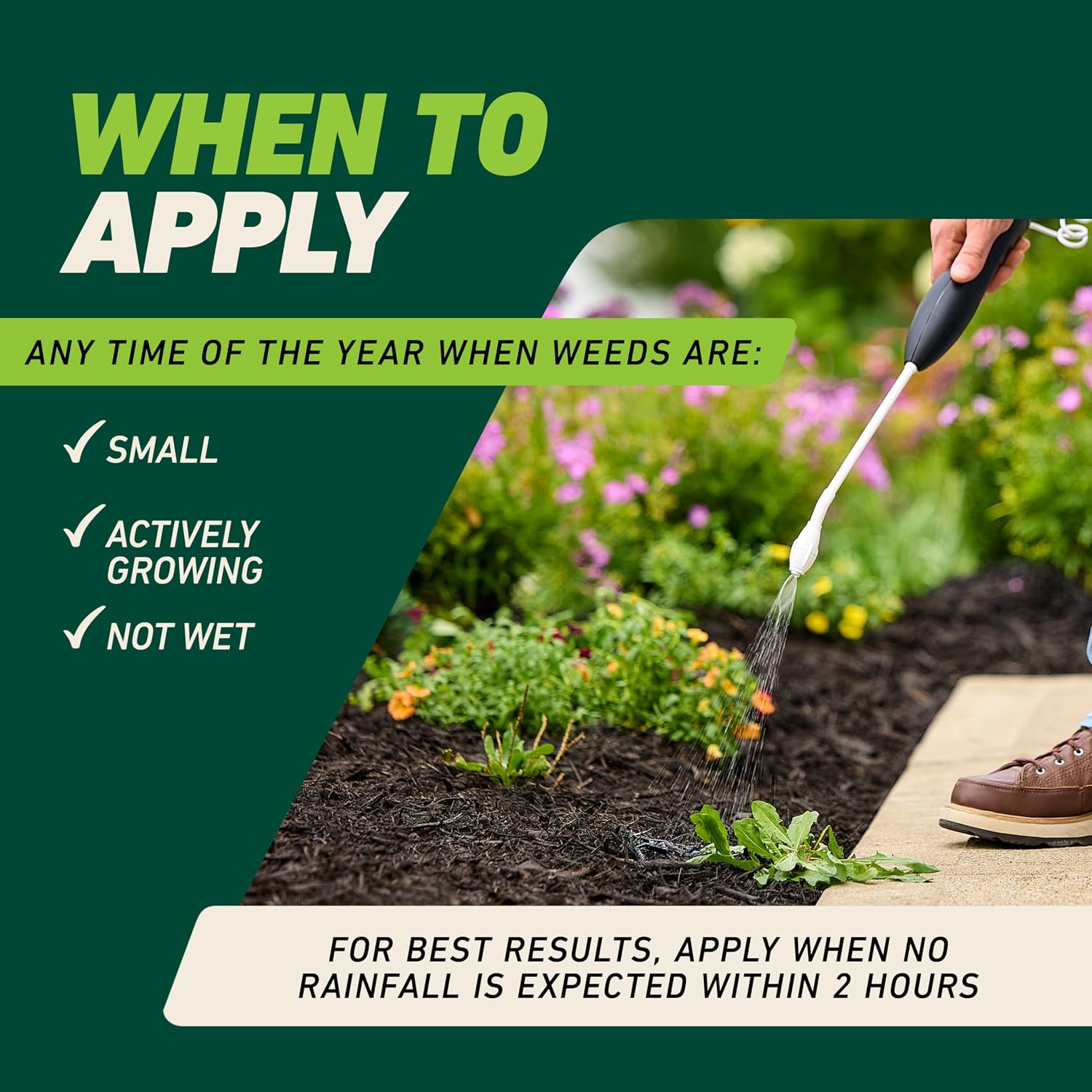 Ortho GroundClear Weed Killer - Hình 11